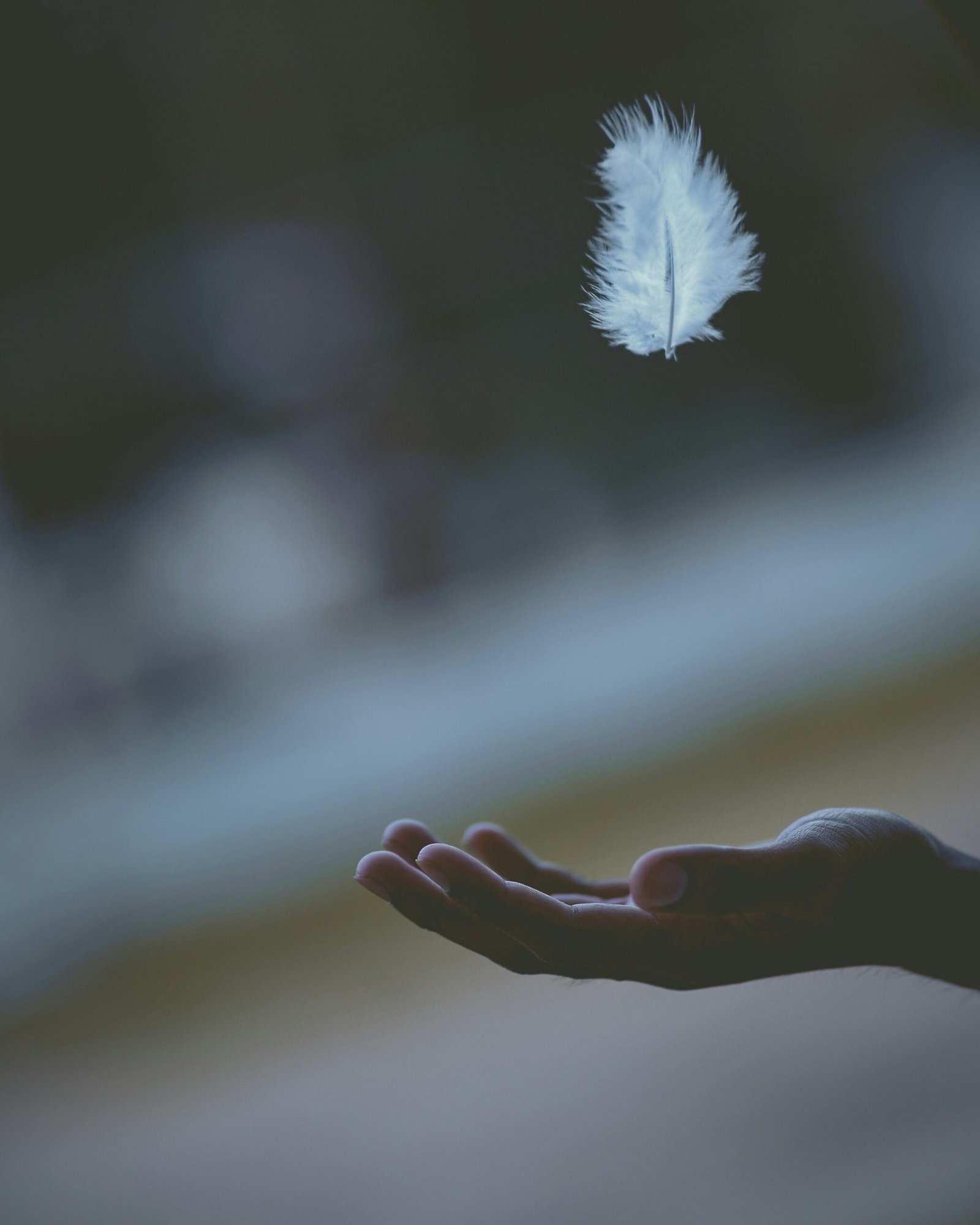 une main tendu avec une plume qui vole