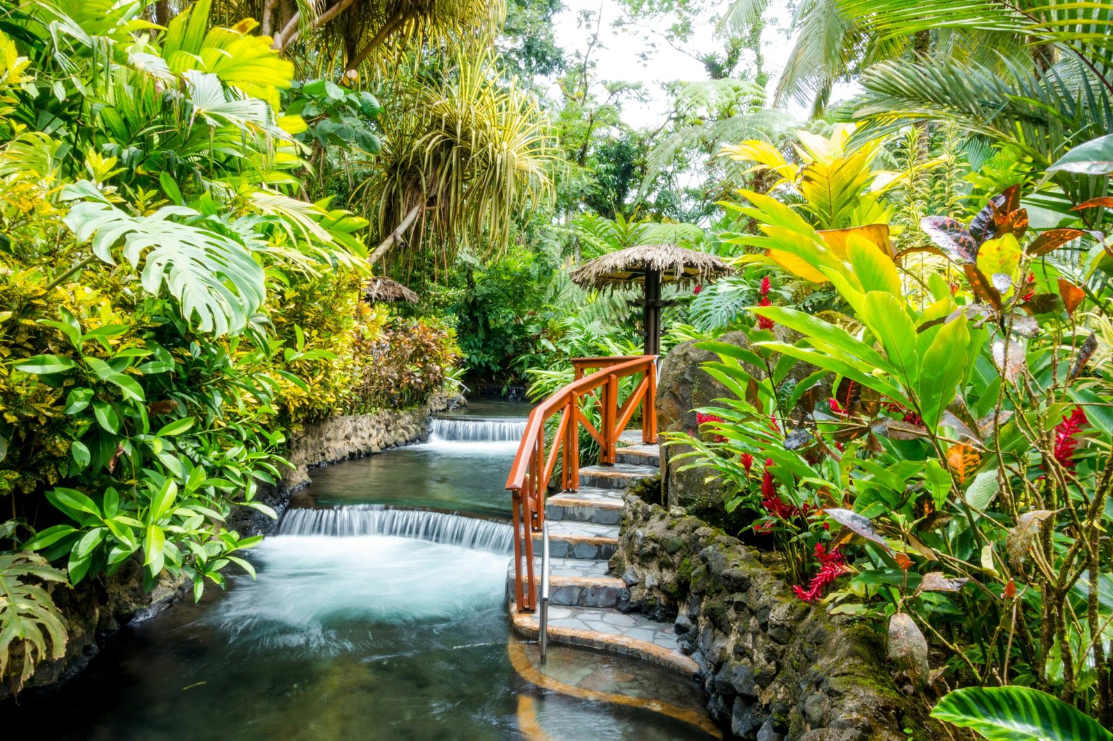 une rivierre qui coule au milieu d'une végétation luxuriante